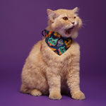 Furry Friends Cat Collar